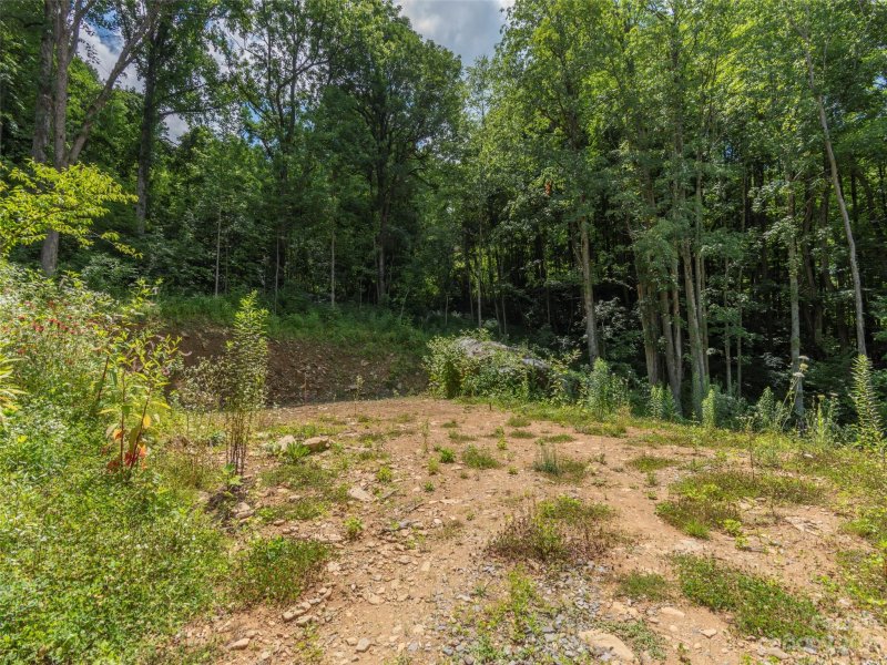 Property image 5 at 89 Cisco Cove, Waynesville, NC 28785