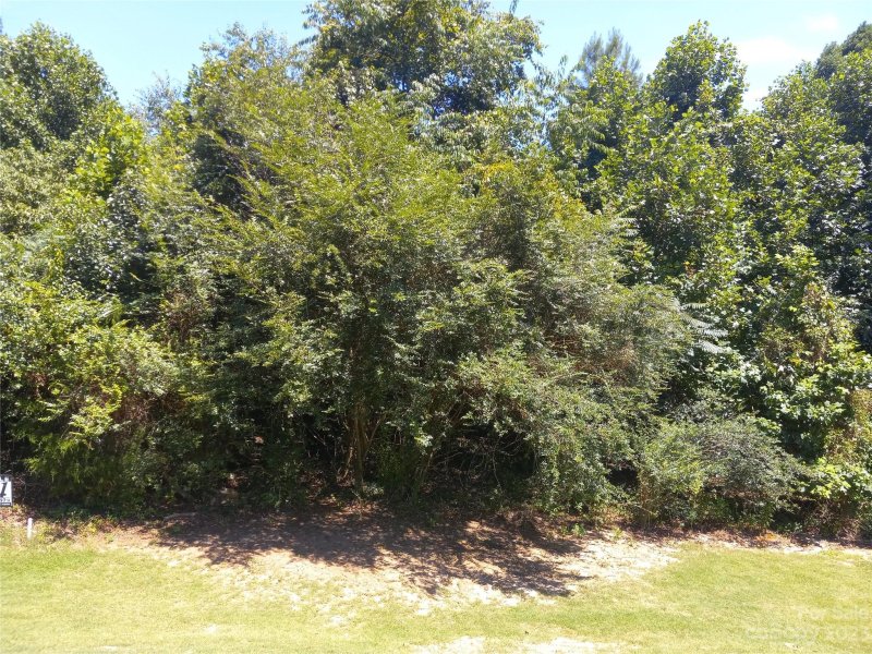 Property image 2 at 158 Olde Duffer Drive, Nebo, NC 28761