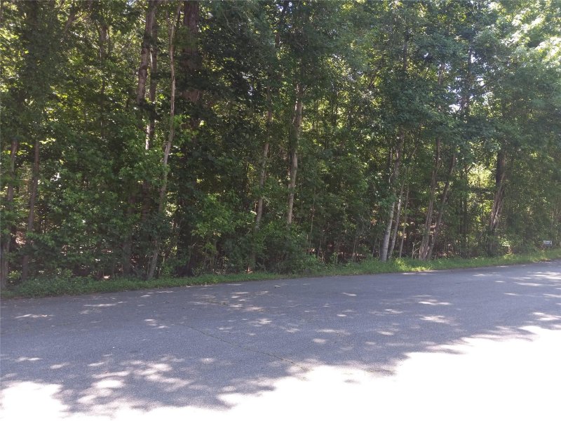 Property image 3 at 158 Olde Duffer Drive, Nebo, NC 28761