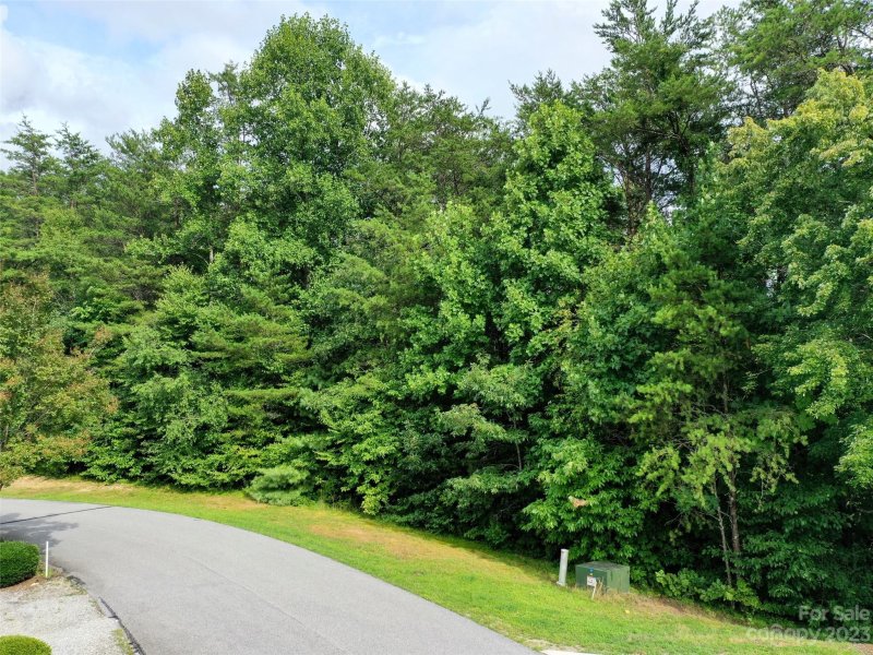 Property image 3 at 143 Sunny Morning Court, Hendersonville, NC 28792