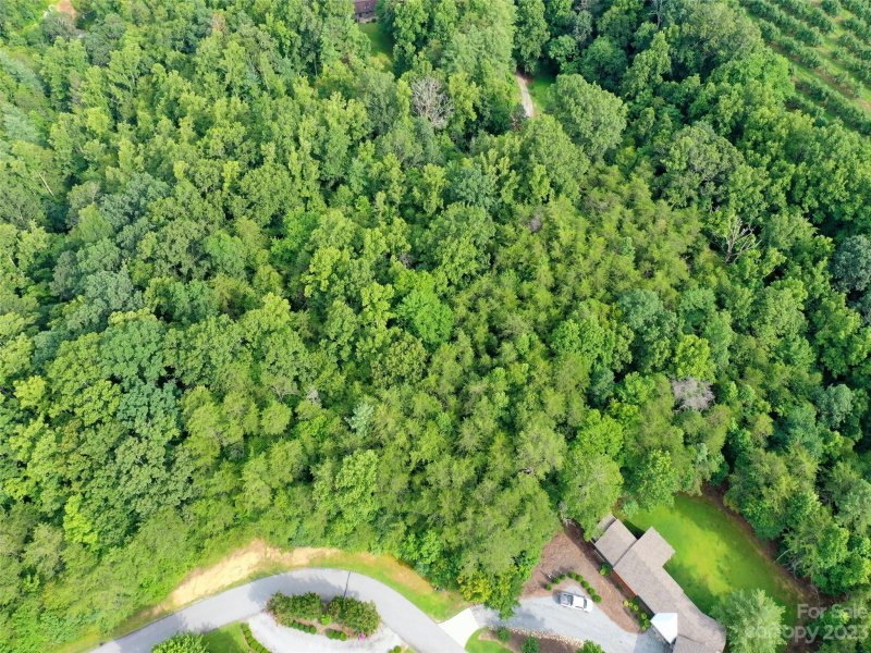 Property image 4 at 143 Sunny Morning Court, Hendersonville, NC 28792