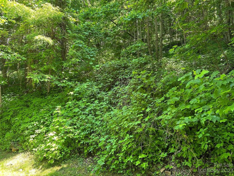 Property image 4 at 00 Twisted Trail, Waynesville, NC 28786