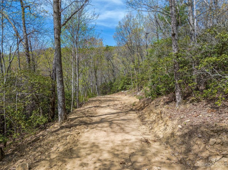 Property image 5 at 9999 2 Merrills Ridge Road, Asheville, NC 28803