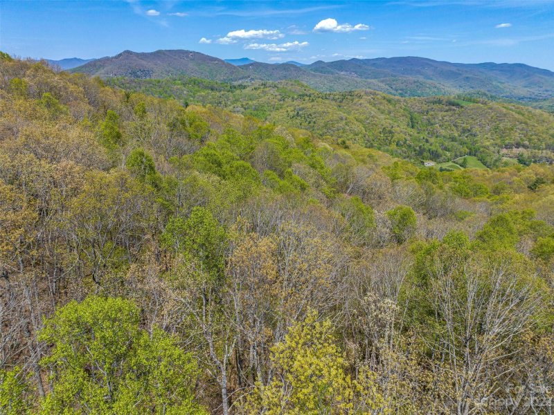 Property image 4 at 9999 3 Merrills Ridge Road, Asheville, NC 28803