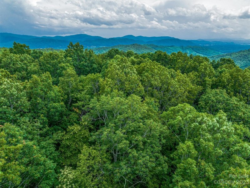 Property image 5 at 9999 3 Merrills Ridge Road, Asheville, NC 28803