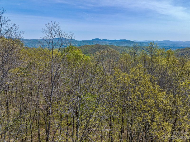 Property image 5 at 9999 4 Merrills Ridge Road, Asheville, NC 28803