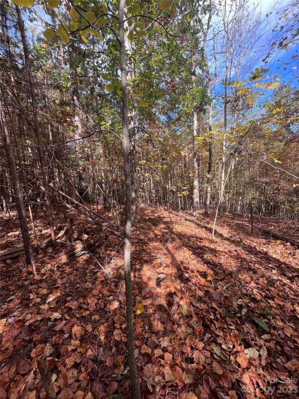 Property image 2 at 0 Creekside Circle, Rutherfordton, NC 28139