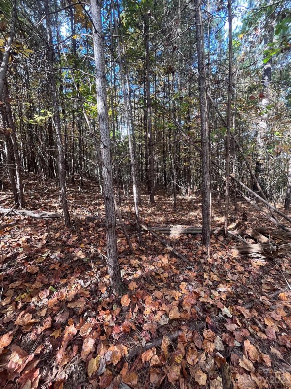 Property image 3 at 0 Creekside Circle, Rutherfordton, NC 28139