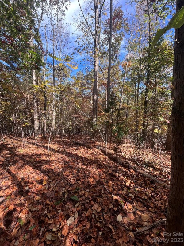 Property image 4 at 0 Creekside Circle, Rutherfordton, NC 28139