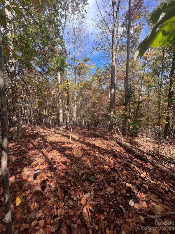 Property image 5 at 0 Creekside Circle, Rutherfordton, NC 28139