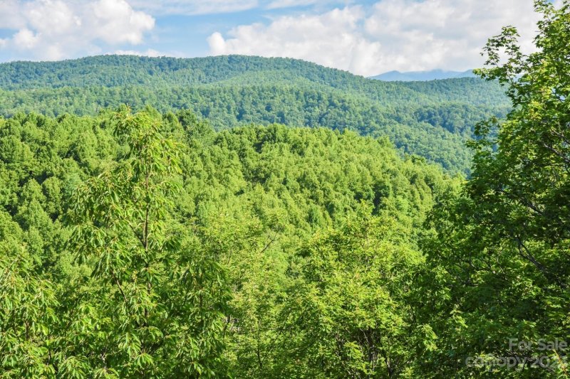 Property image 5 at 177 Fuji Falls Trail, Black Mountain, NC 28711