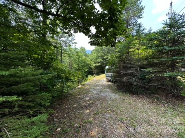 Property image 2 at 445 Bear Cub Drive, Spruce Pine, NC 28777