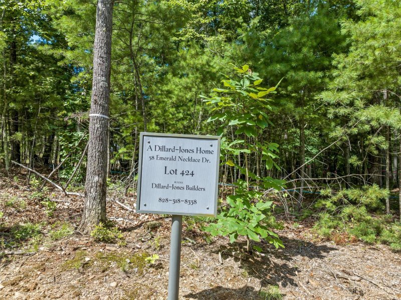Property image 4 of 58 Emerald Necklace Drive in Ramble Biltmore Forest, Asheville, NC 28803