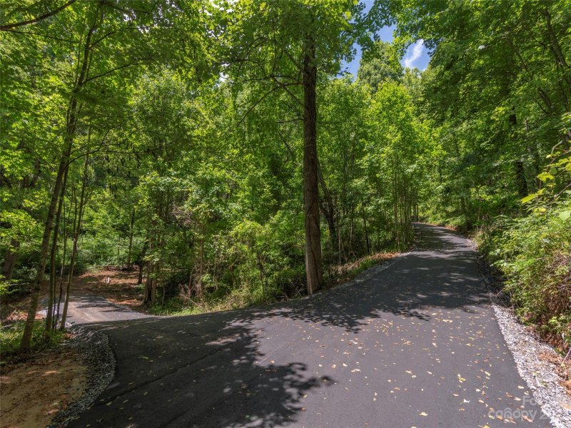 Property image 5 at 00 Yellowwood Trail, Maggie Valley, NC 28751