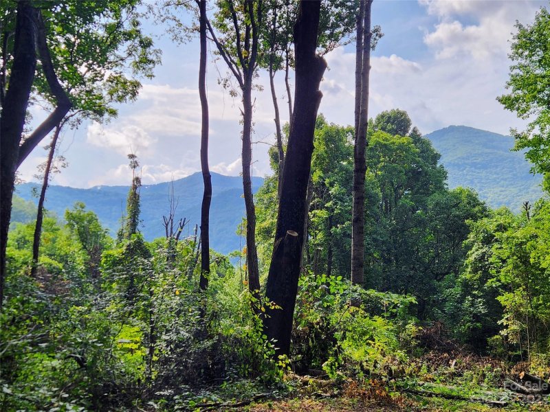 Property image 2 at 00 Havenwood Drive, Maggie Valley, NC 28751