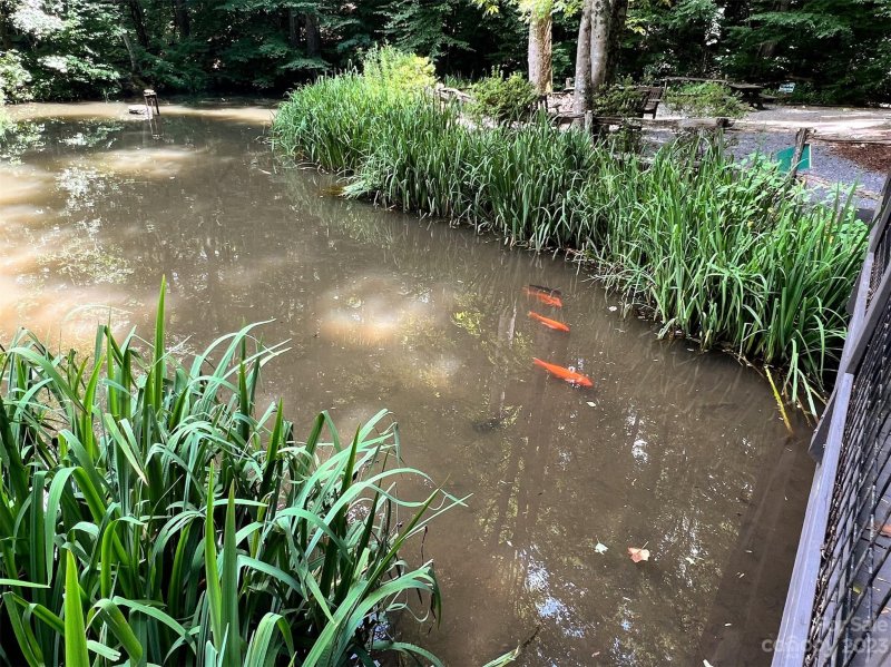 Property image 4 at Lot 58 Turn A Bout Court, Waynesville, NC 28785