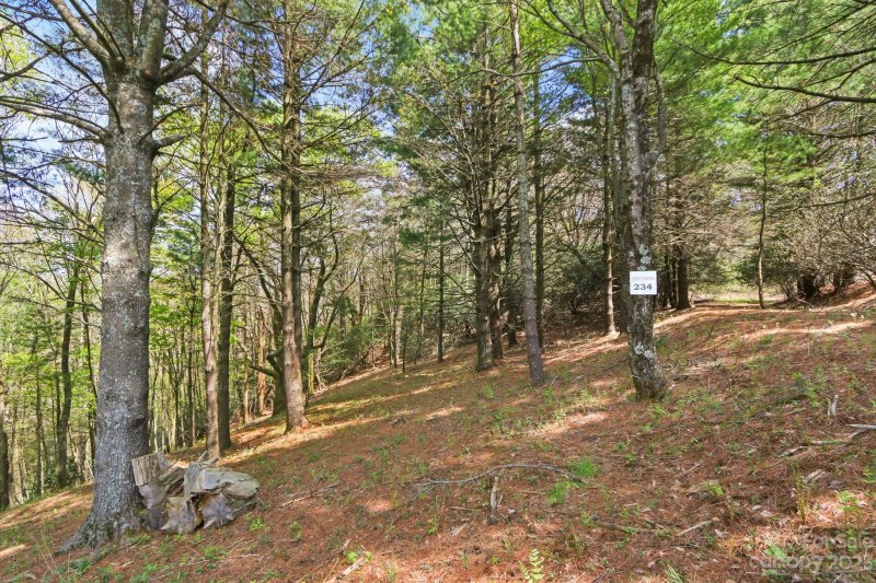 Property image 2 at 999 Thunderhill Trail, Blowing Rock, NC 28605