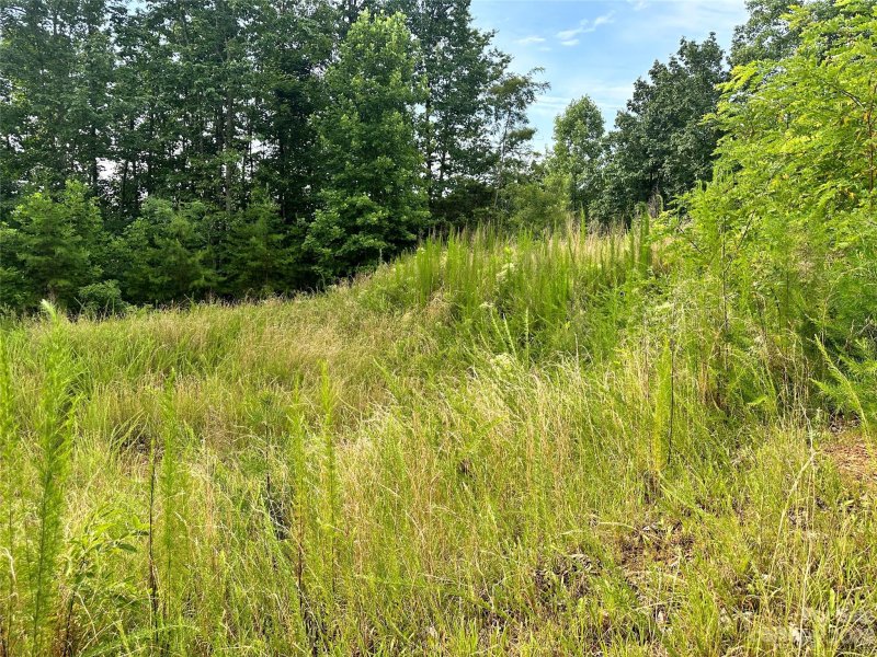 Property image 4 of 643 Woodgate Drive in South Mountain Peaks, Bostic, NC 28018