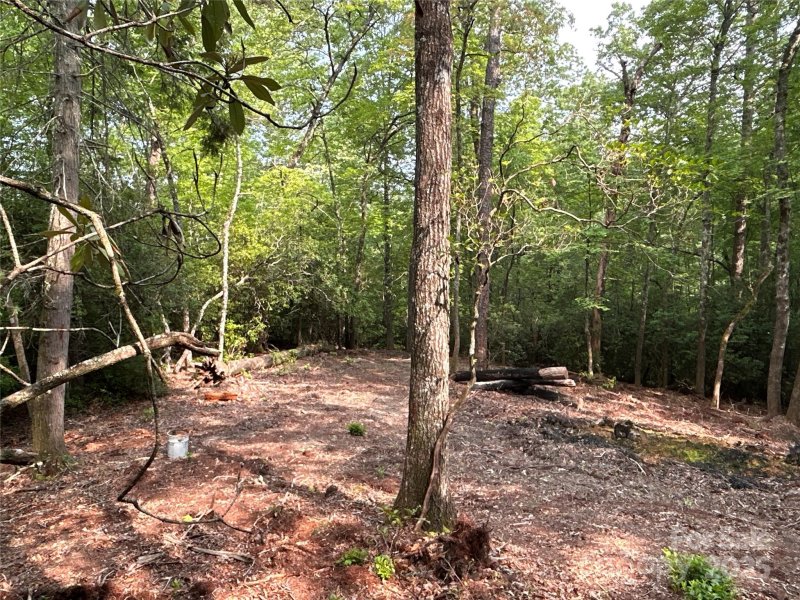 Property image 5 of 55 Locust Court in Lobdell Woods, Pisgah Forest, NC 28768