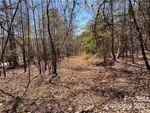 Property image 2 of 0000 Elliot Lane in Green River Highlands, Rutherfordton, NC 28139