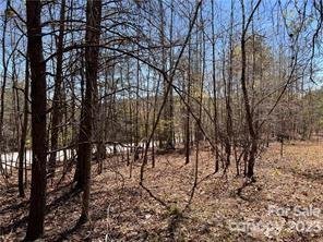 Property image 4 of 0000 Elliot Lane in Green River Highlands, Rutherfordton, NC 28139