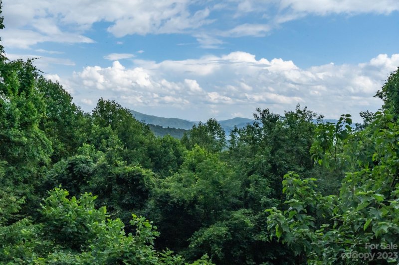 Property image 4 at 118 Hickory Forest Road, Fairview, NC 28730