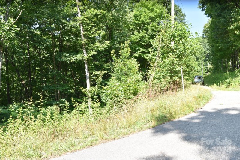 Property image 3 at 99999 Spring Valley Drive, Waynesville, NC 28786