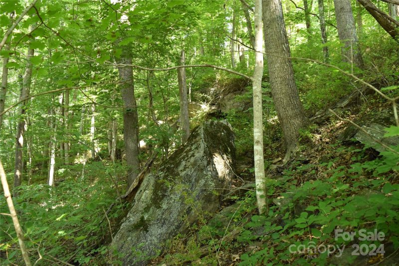 Property image 5 at 99999 Spring Valley Drive, Waynesville, NC 28786