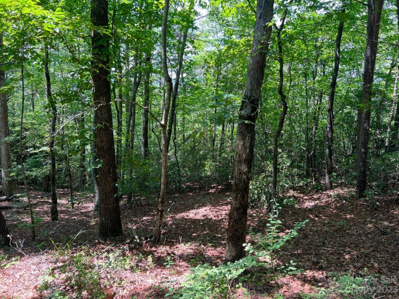 Property image 2 at Lot 41 Franks Cove, Brevard, NC 28712