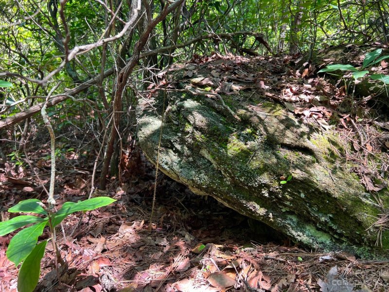 Property image 4 at Lot 41 Franks Cove, Brevard, NC 28712