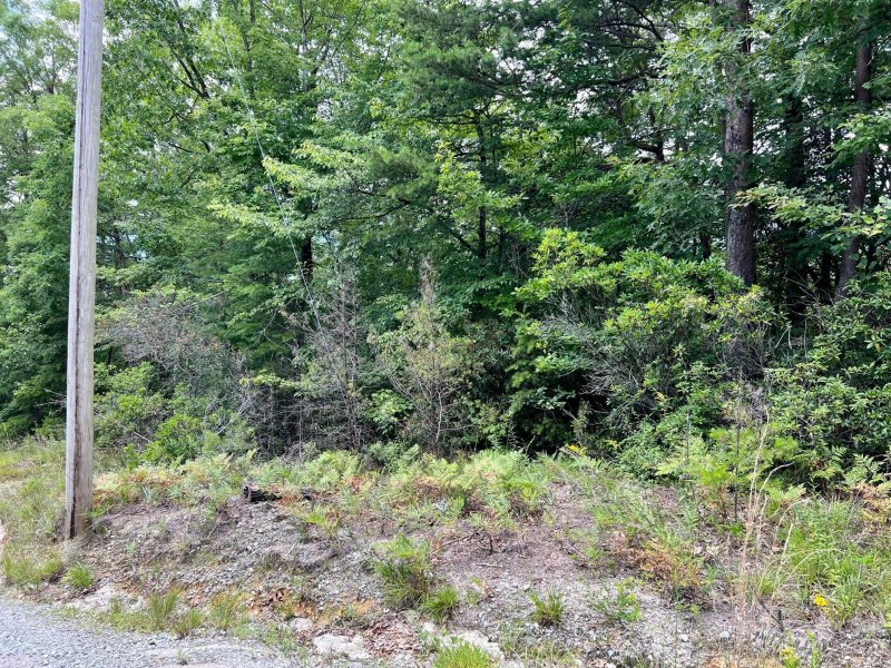 Property image 5 at Lot 41 Franks Cove, Brevard, NC 28712