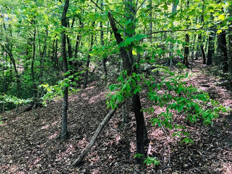 Lot 143 Eagles Avenue