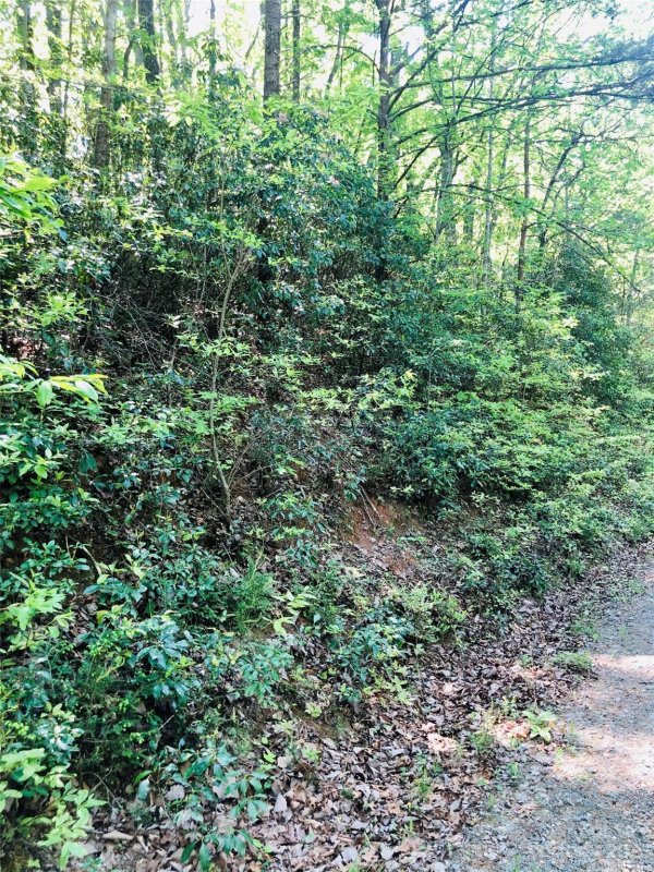 Property image 2 at Lot 143 Eagles Avenue, Lake Lure, NC 28746