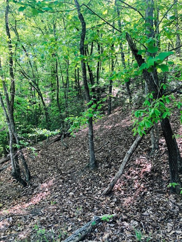 Property image 3 at Lot 143 Eagles Avenue, Lake Lure, NC 28746