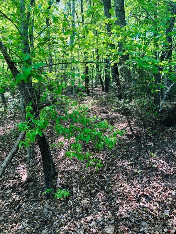 Property image 4 at Lot 143 Eagles Avenue, Lake Lure, NC 28746