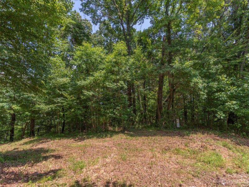 Property image 4 of 00 Frank Davis Road in The Glens Of Ironduff, Waynesville, NC 28785