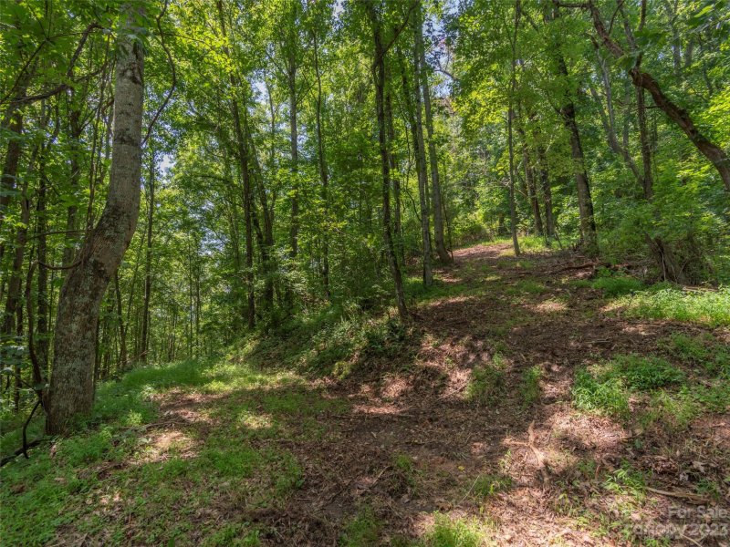 Property image 5 of 00 Frank Davis Road in The Glens Of Ironduff, Waynesville, NC 28785