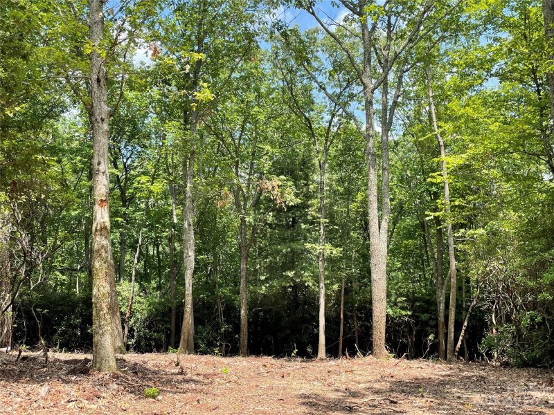 Property image 2 at 0000 East Garden Trail, Hendersonville, NC 28792