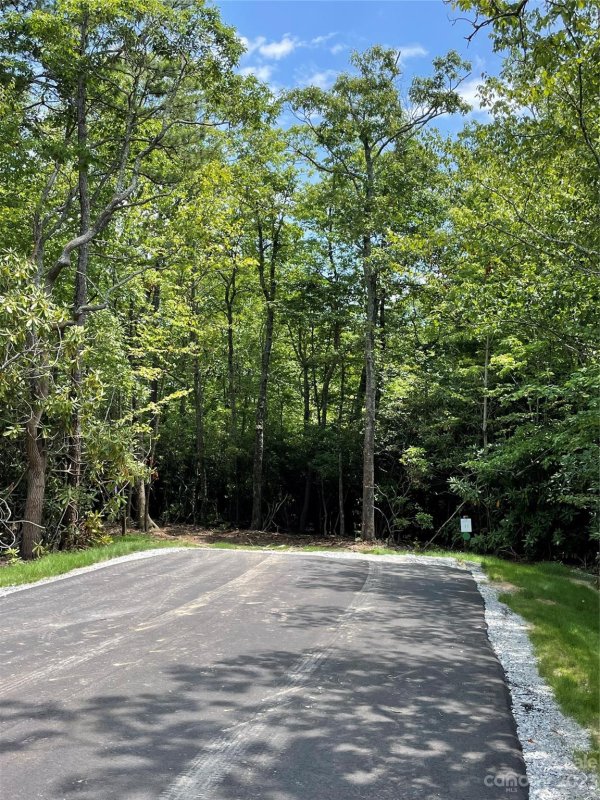 Property image 3 at 0000 East Garden Trail, Hendersonville, NC 28792