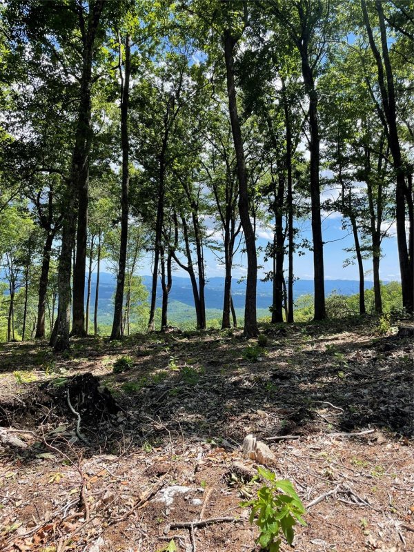 Property image 4 at 0000 East Garden Trail, Hendersonville, NC 28792