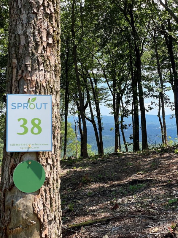 Property image 5 at 0000 East Garden Trail, Hendersonville, NC 28792