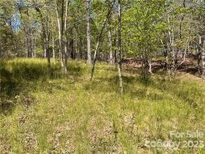 Property image 2 of 0000 Zackary Lane in Green River Highlands, Rutherfordton, NC 28139