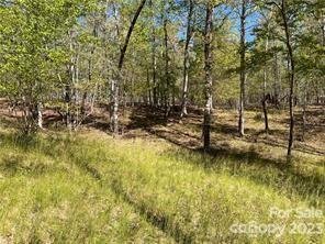 Property image 3 of 0000 Zackary Lane in Green River Highlands, Rutherfordton, NC 28139