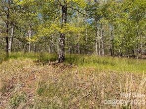 Property image 4 of 0000 Zackary Lane in Green River Highlands, Rutherfordton, NC 28139