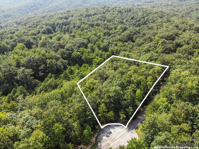 Property image 2 at 134 Camden Place, Mill Spring, NC 28756