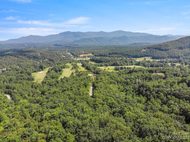 Property image 3 at 134 Camden Place, Mill Spring, NC 28756