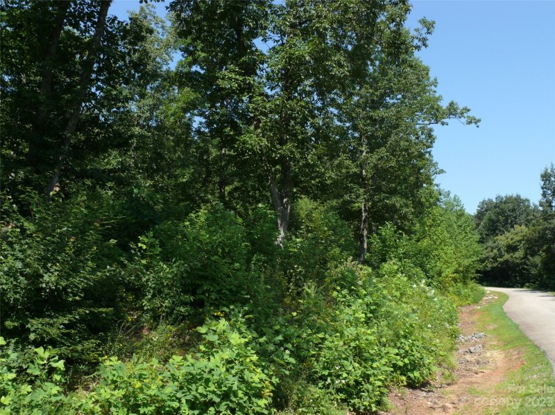 Property image 2 at Lot 122 Half Moon Mile Road, Lake Lure, NC 28746