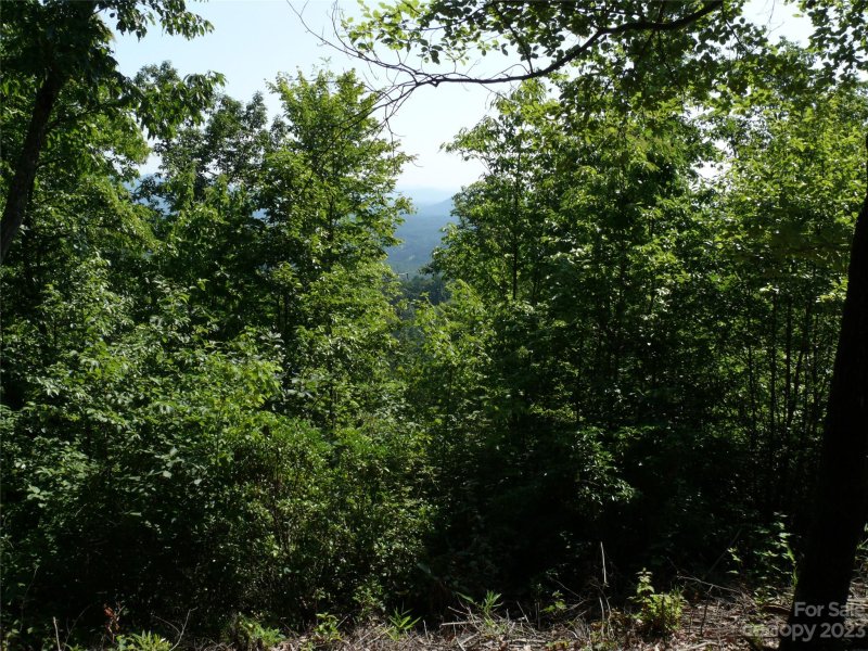 Property image 3 at Lot 122 Half Moon Mile Road, Lake Lure, NC 28746