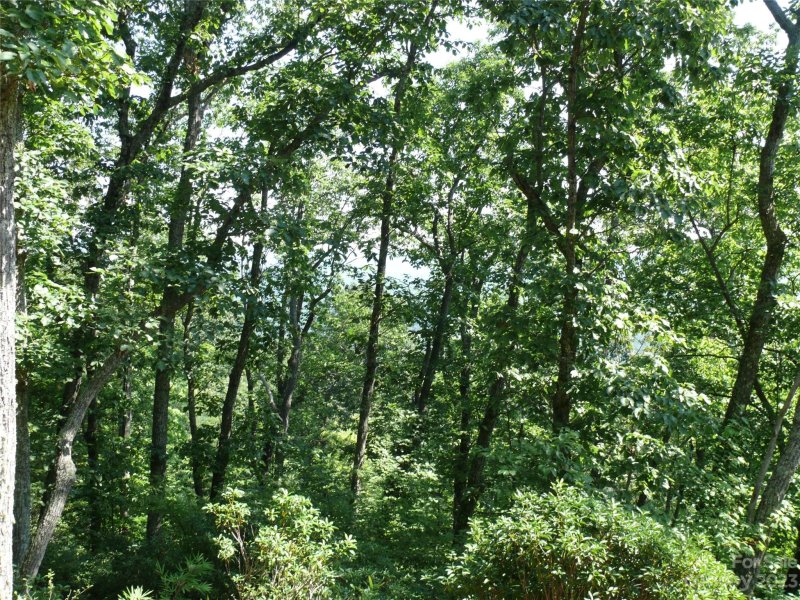 Property image 4 at Lot 122 Half Moon Mile Road, Lake Lure, NC 28746