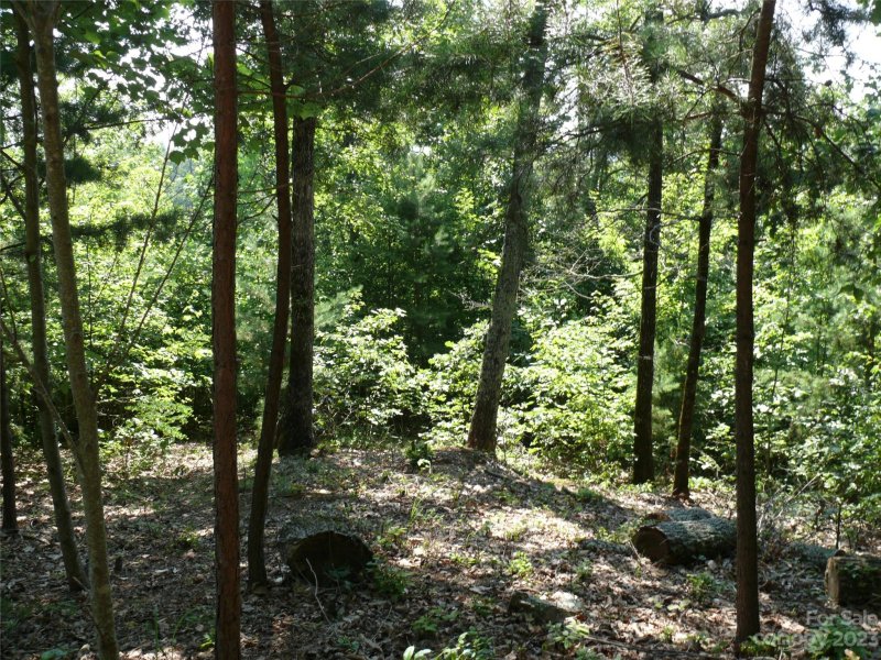 Property image 5 at Lot 122 Half Moon Mile Road, Lake Lure, NC 28746